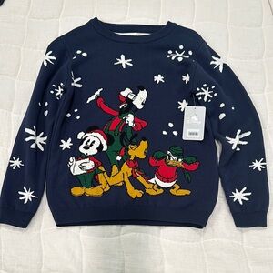 Disney Navy Blue Sweater with Characters